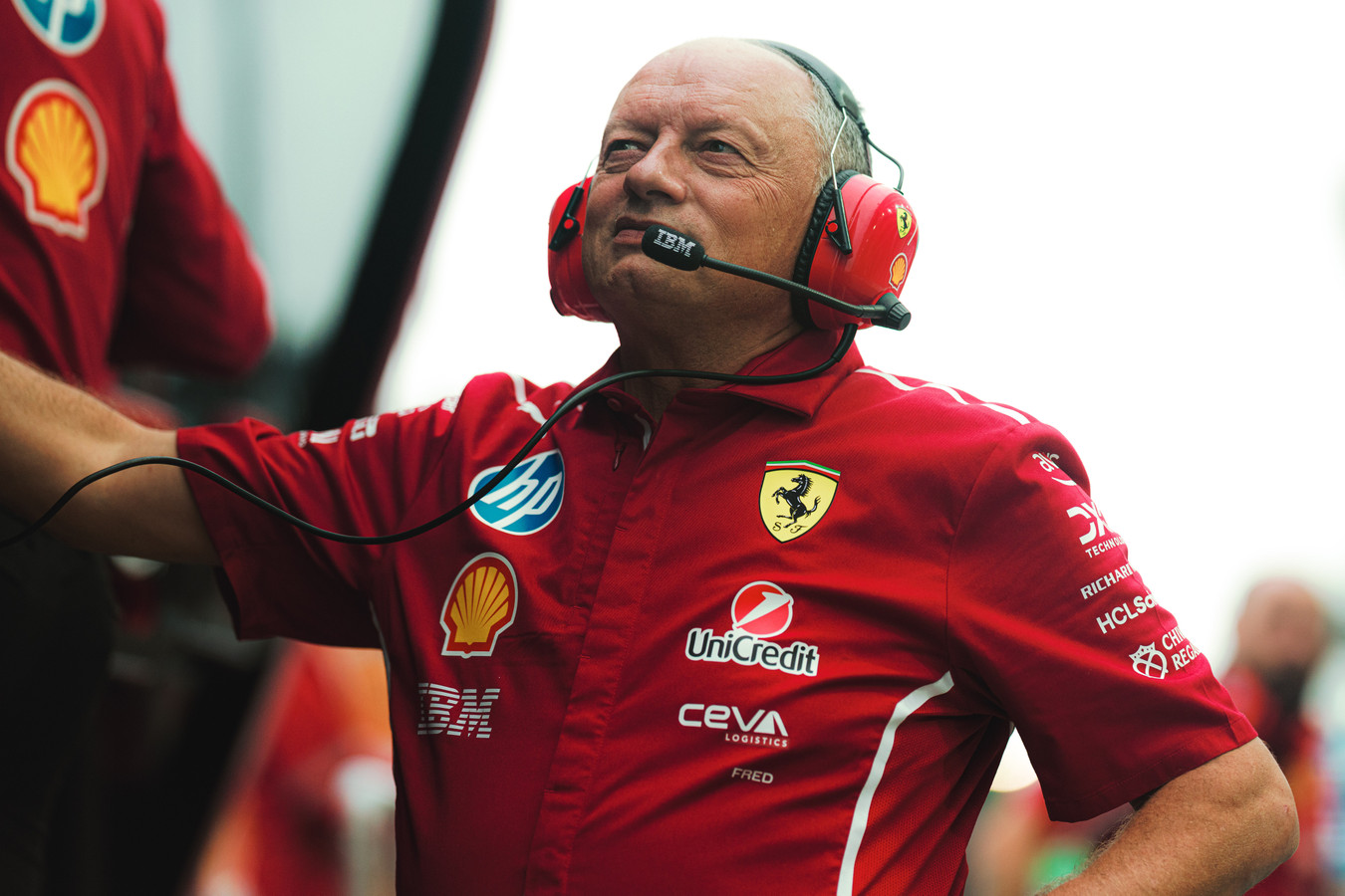 Vasseur: “Scenderemo in pista per vincere”.